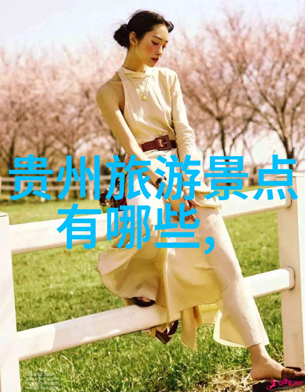 金色年华的探索六十岁老人的理想旅行目的地