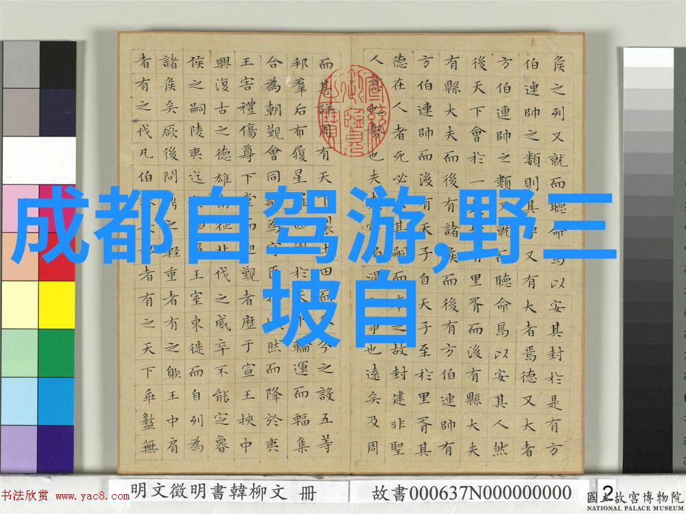 异域风情全球游客中的中国迷