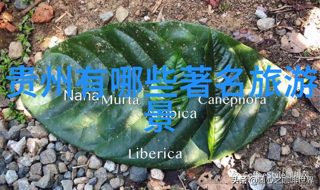 在广东省内自驾游时交通工具选择有哪些优劣