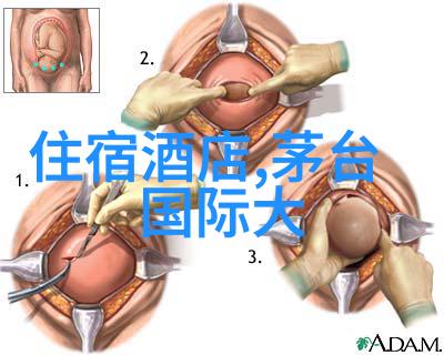 青春的足迹初中之旅