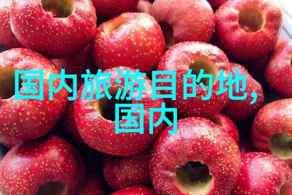 幼儿园趣味无限100款创意游戏探索