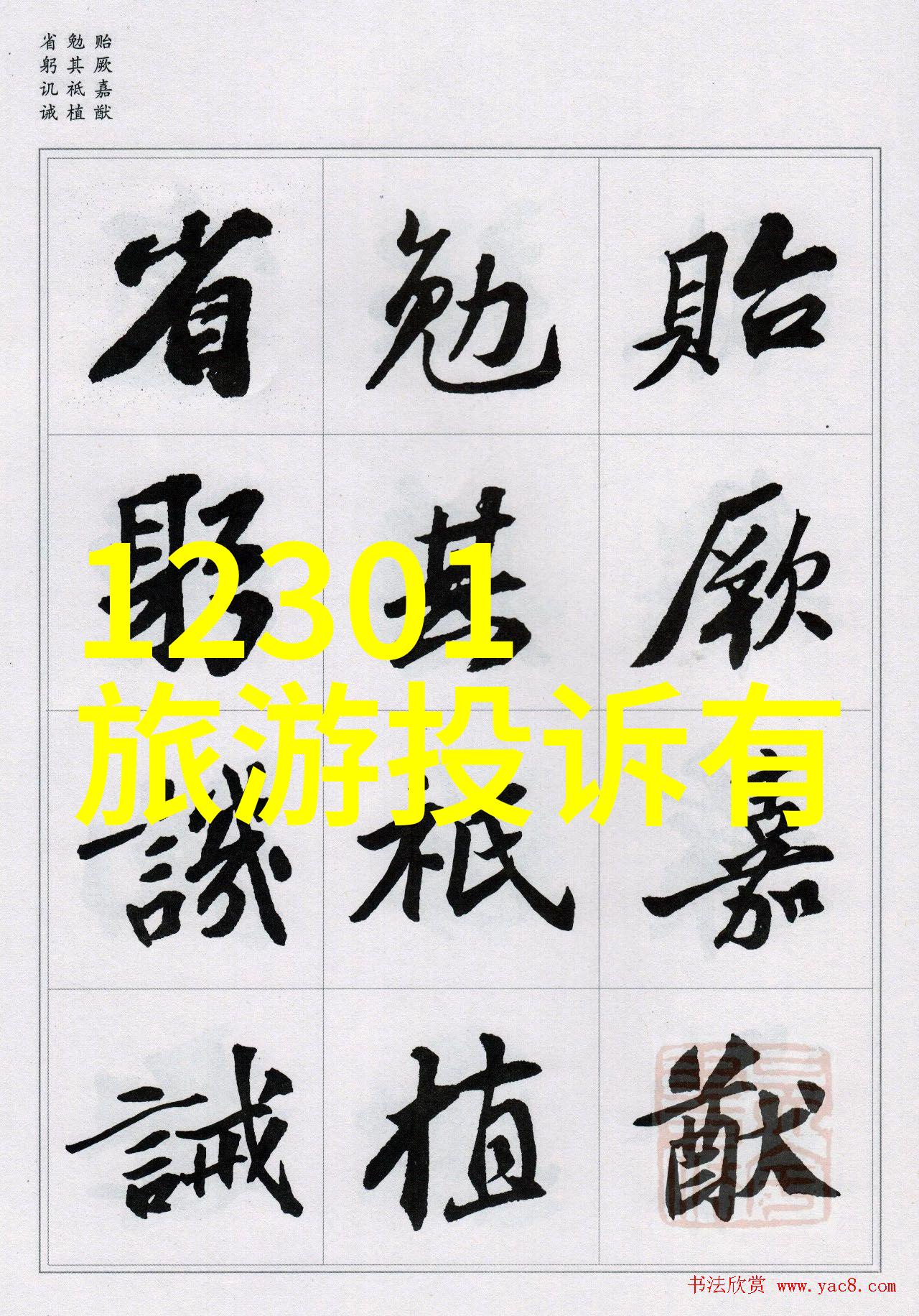 森林的诱惑迈开腿让我们深入探索