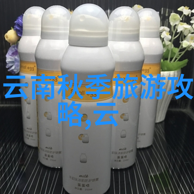 更多美国人为假期旅行存钱而非教育