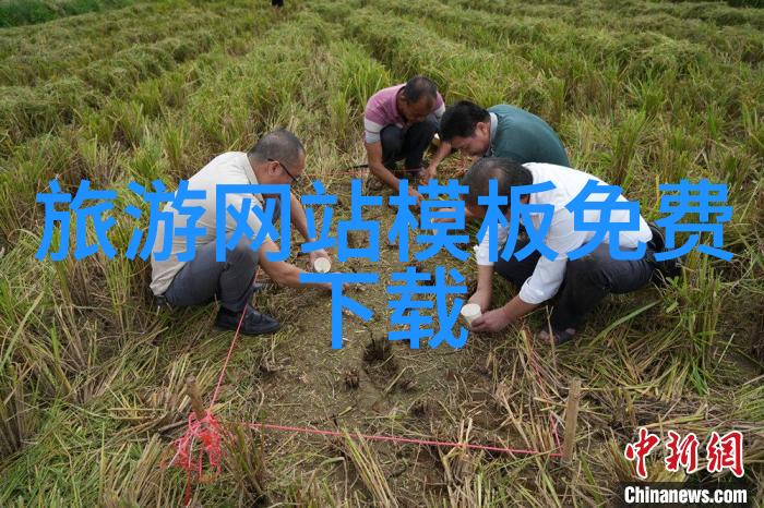 星际穿越者的呼唤追逐气流的奇迹之旅