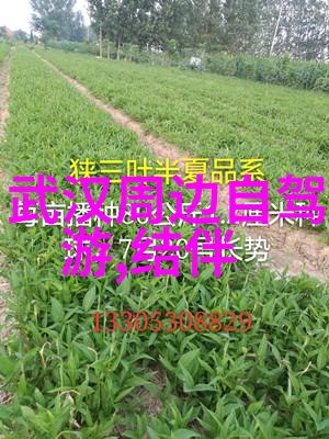 云南七日游心随风起航