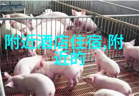 苏州园林门票探索古典美的魅力与实用信息