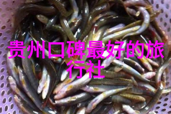 江南水乡的魅力探索苏州园林的艺术与智慧