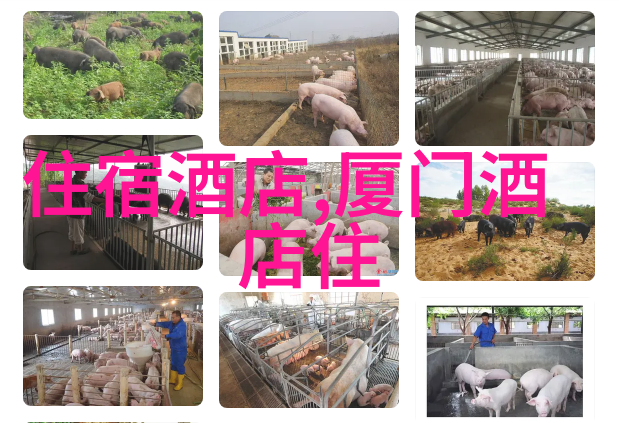 户外活动记录表中班-探索自然的足迹记录中班的户外冒险