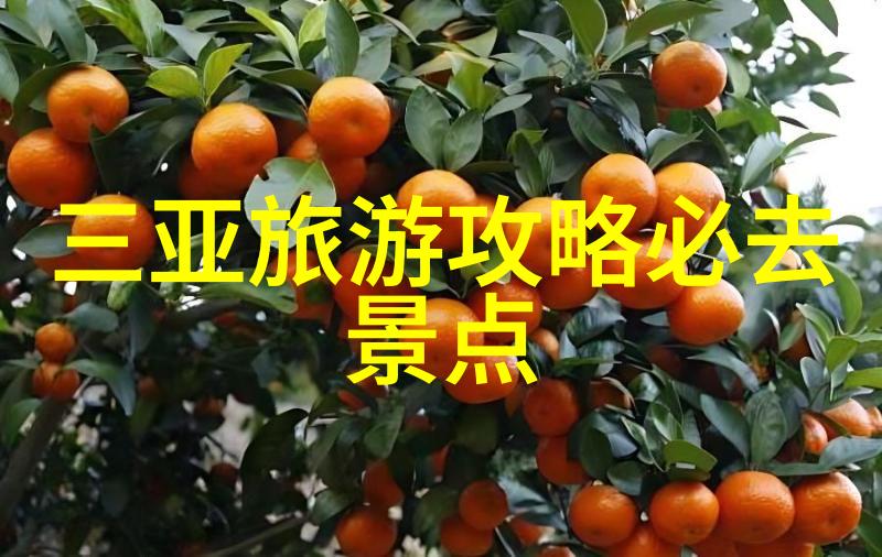 西安必吃美食攻略来吧我带你逛一遍这座千年古城的味道世界