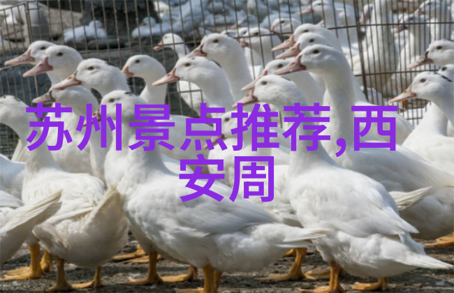 探索中国美丽揭秘国内旅游热点