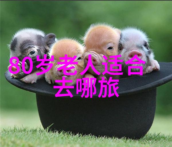 山东自由行最佳旅游路线来吧探索青岛的海滩和啤酒文化再到济南尝尝那绝妙的泉水小吃最后一定要去临沂赏一赏