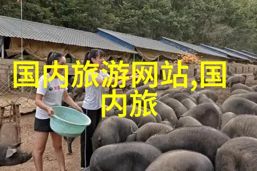 我曾试过放弃你重逢的记忆与未完的故事
