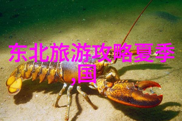 打造完美旅程如何编制一份详实的旅游攻略