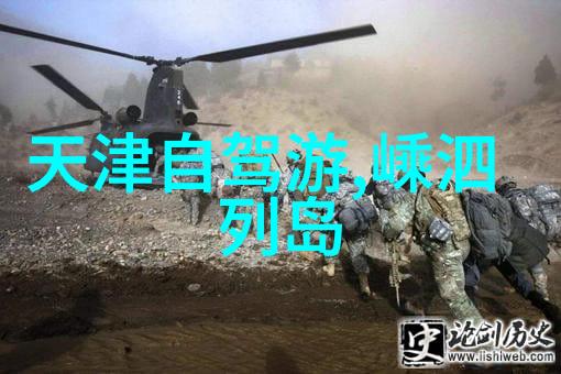 萝卜蹲游戏教案探索大班儿童的社交技能发展