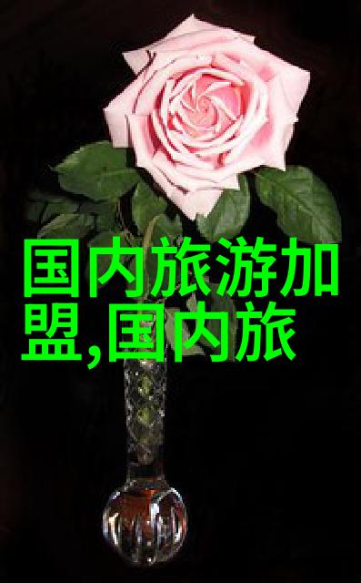 全球游客期待重返中国11月恢复外国人入境令旅行业振奋