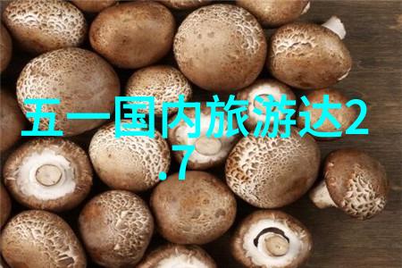 旅行的选择团队探索与自由翱翔
