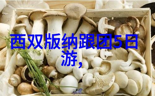 自驾游记-风景如画的路情感丰富的日子
