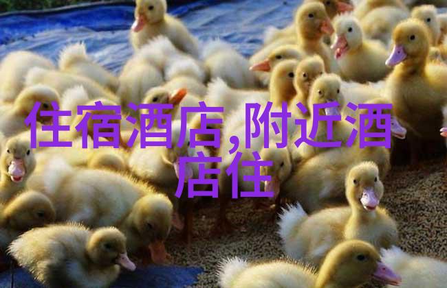美国青少年夏令营体验2023年美国游学夏令营