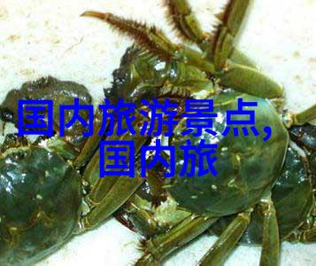 不朽的篇章万字长卷中的世界