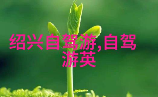 四年级学生夏令营探险游记夏日冒险团队合作生态保护