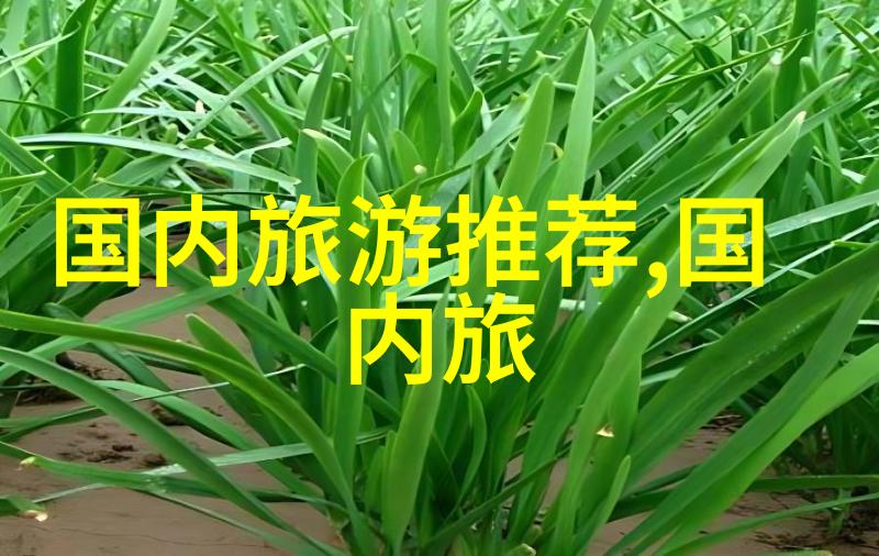 旅游攻略自助游2日我去哪里玩俏皮女孩的两天一夜自由行指南
