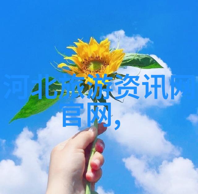 从校园操场到未知世界儿童拓展训练项目的无限可能