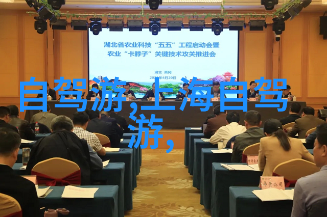 少林美食指南品尝正宗河南省菜肴之旅