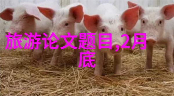 保山的自然风光探索云南美丽之城的秘密角落