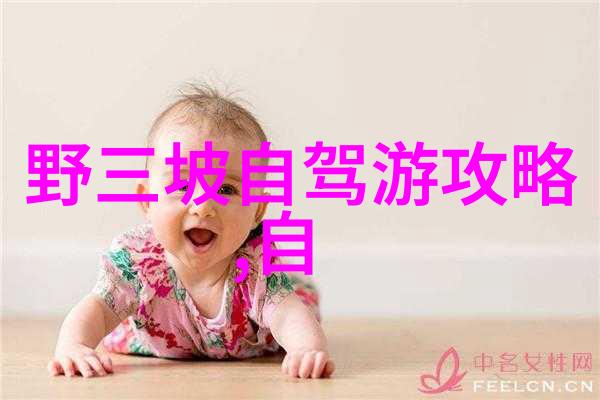 探访原创口味不同地区的糖水有哪些独特之处值得尝试