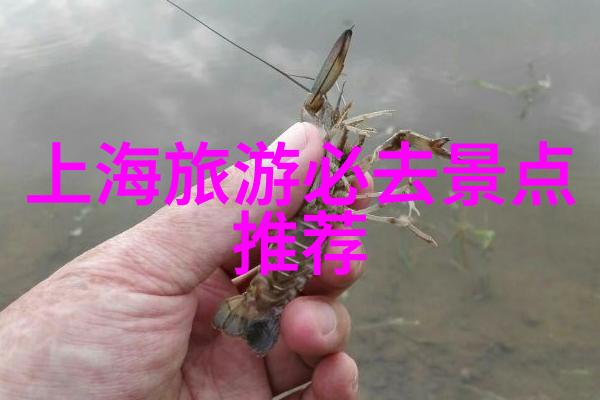 探秘三日游背包客的自由之旅