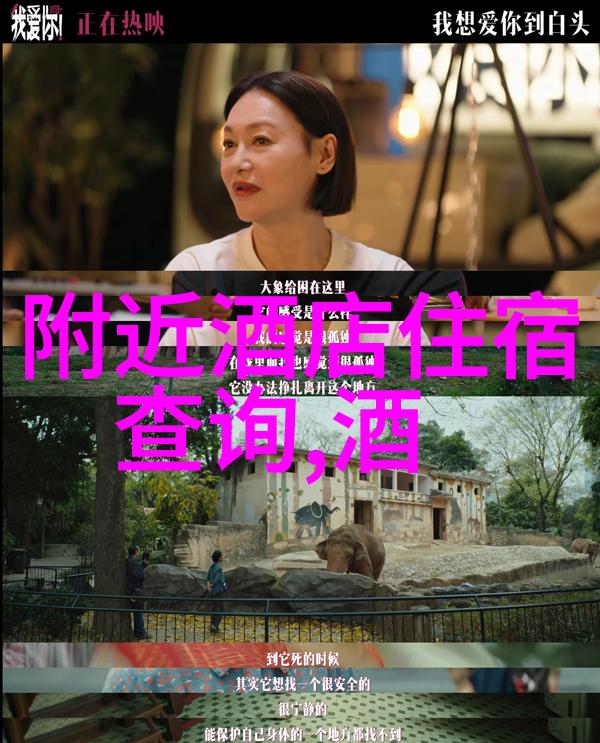 探索自然的乐趣小班户外活动教案