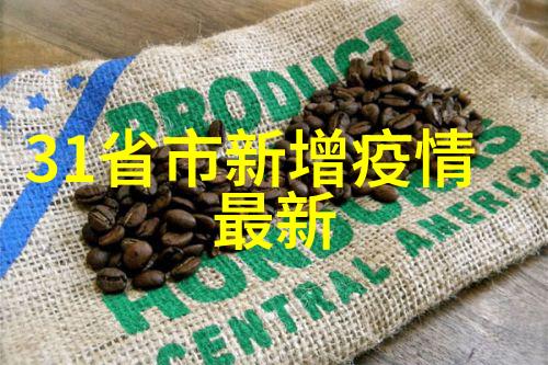 雷电将军乳液VX破解版风暴中寻找纯净之光
