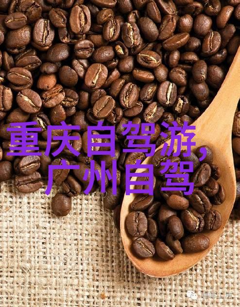 上海南京路美食攻略我在南京路上的美食大冒险从早餐到夜宵的趣味指南