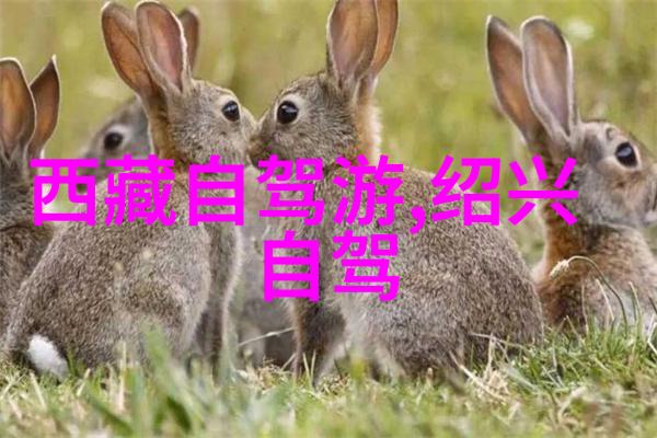 2天速享城市探索最佳旅行目的地