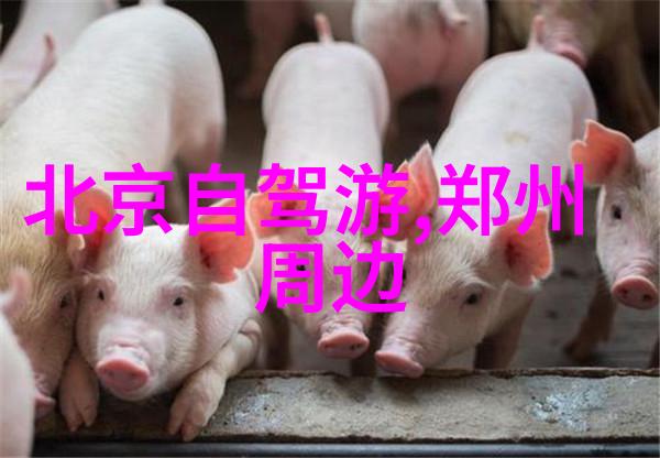 什么时候可以品尝到真正的南翔鸡球