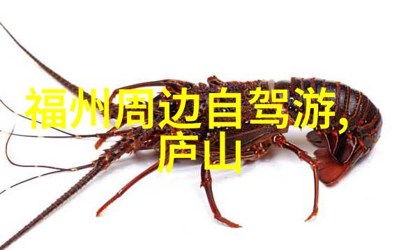 在珠海旅游期间最受欢迎的是那些提供早餐服务的酒店吗为什么呢