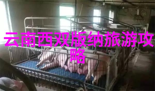 南京自驾游风景好的地方有哪些相比之下贵州自驾游更是物是人非的盛宴