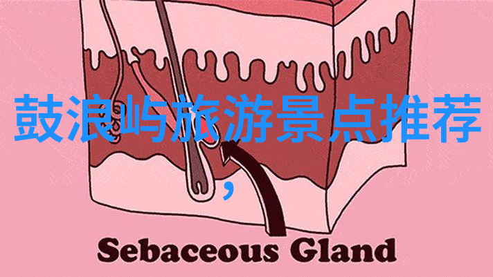如何规划一次完美的自驾游黄山之旅住宿攻略大揭秘