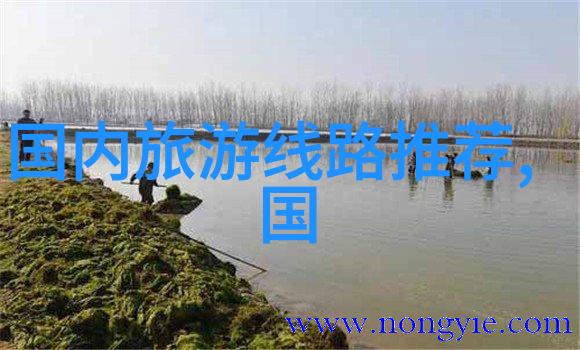 探索未知自驾游地图的秘密之门