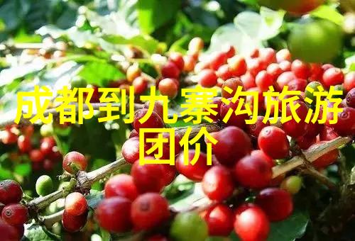 冬季旅行热门目的地推荐寻找经济实惠的冬日避寒胜地