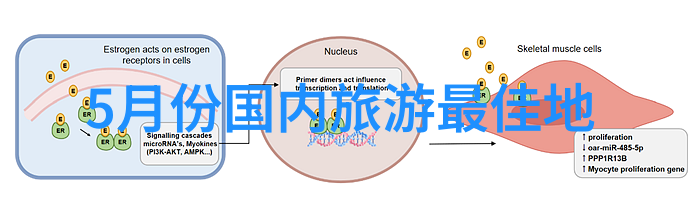 大理怎么玩比较好来吧小伙伴让我带你一起探索这座美丽的天府之国