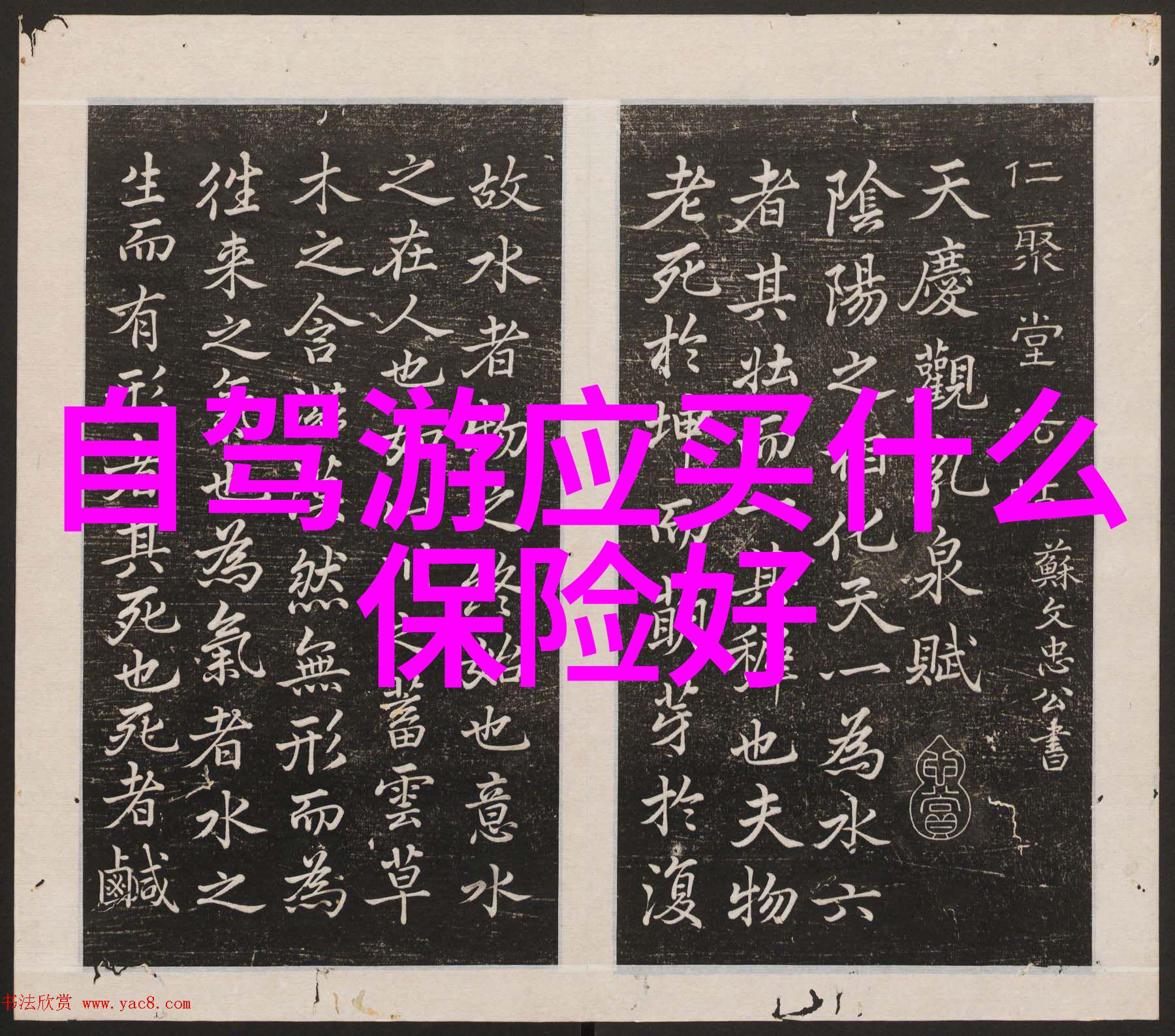 年终大放送揭秘最后一刻惊喜