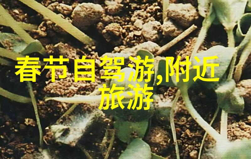 苏州古韵现代探索城市之美的反差魅力