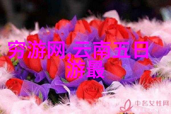 山中漫步初二学生的探险日记