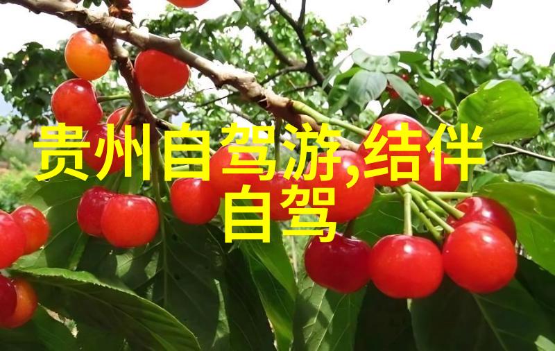 远足记穿越云海的旅程