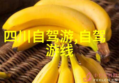 创意旅行探索未知的旅途风情