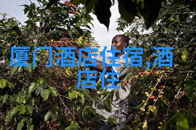 云南省旅游景点-探秘大理古城云南最美的历史与文化之旅