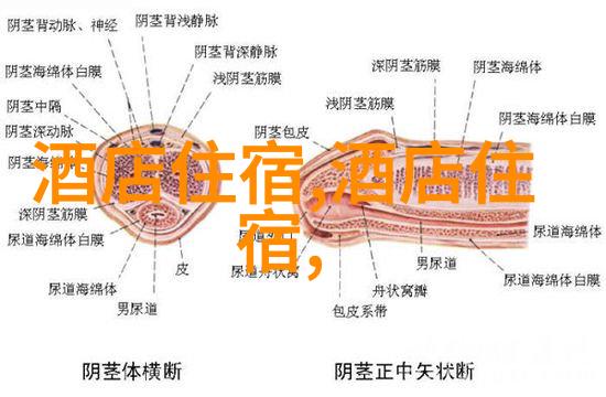 苏州旅游攻略必去景点推荐 - 园林之都的迷人魅力苏州十大不可错过景点