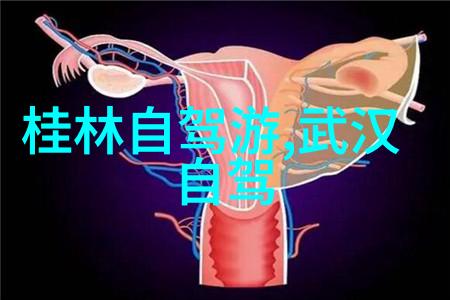 单车月伙伴捷安特公路车配件专家2021年精选品质骑行每一里路