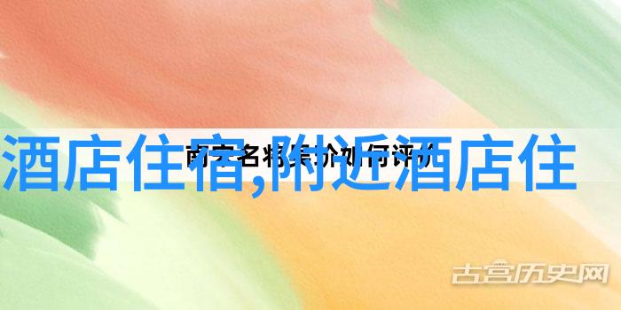在拼搏型骑士眼中哪个齿数组合才是真正的高效之选